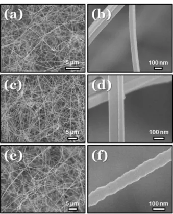 Fig. 2. XRD patterns of (a) bare SnO 2  nanowires and SnO 2