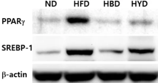 Fig.  2.  Effect  of  lipogenesis-related  protein  expressions  level  in  the  liver.