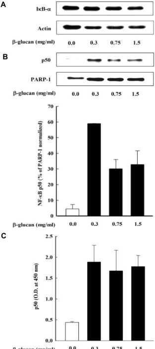 Fig.  4.  Effects  of  β-glucan  on  the  phosphorylation  of  MAPKs  ((A)p38,  (B)  JNK1/2)  induced  in  THP-1  cells