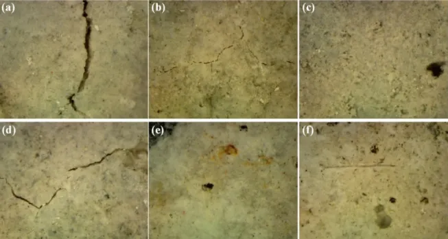 Figure 8. Cracks developed on the surface of (a) S0, (b) S50, (c) S100, (d) FS0, (e) FS50, and (f) FS100  specimens exposed to sulfate solution