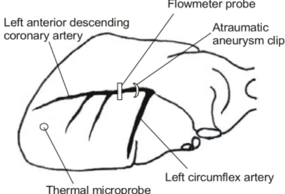 Fig.  1.  Schematic  presentation  of  the  experimental  prepa- prepa-ration.