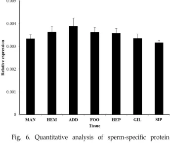 Fig.  6.  Quantitative  analysis  of  sperm-specific  protein  (McSSP-  31)  expression  level  in  the  various  tissues