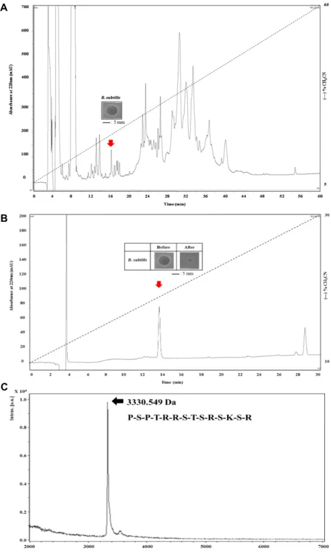 Fig.  1.  Purification  and  antimicrobial  activity  of  purified  peptide  and  mass  spectrometry  analysis  with  N-terminal  sequences  de- de-termined  by  edman  degradation