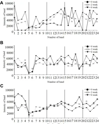Fig.  2.  Temporal  stability  of  the  microflora  in  intestine.  Bands  of  DGGE  patterns  were  digitized  by  using  Image  J   pro-gram  (http://rsbweb.nih.gov/ij)