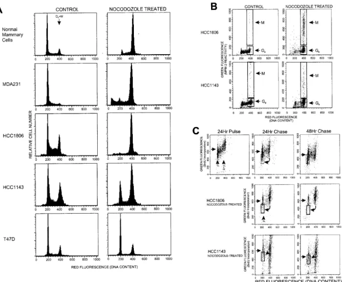 Figure 2. Flow cytometry analysis of mitotic checkpoints in mammary epithelial cells and breast cancer cells