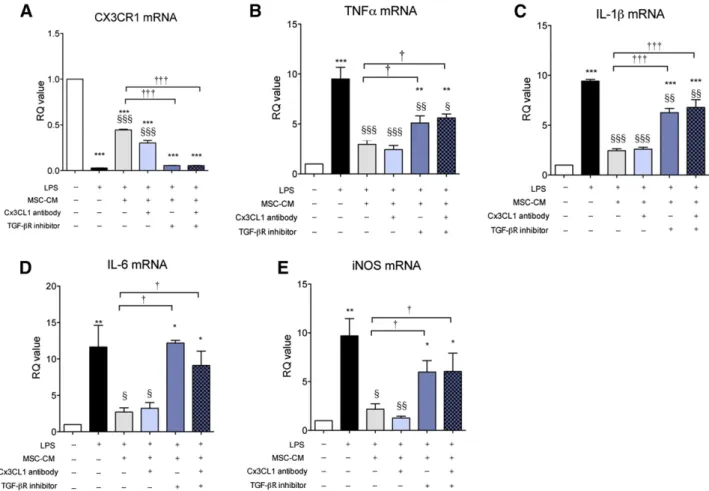 Figure 5. TGF-bR inhibition alone can abolish the effect of MSC-CM in LPS-stimulated microglia