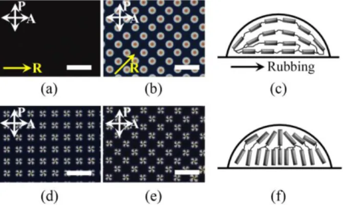 Fig.  4.  The  polarizing  optical  microscopic  (POM)  images  for  OAMLA  and  OIMLA:  the  rubbing  direction  is  0°  in  (a)  and  (d),  and  45°  in  (b)  and  (e)  with  respect  to  the  optic  axis  of  polarizers