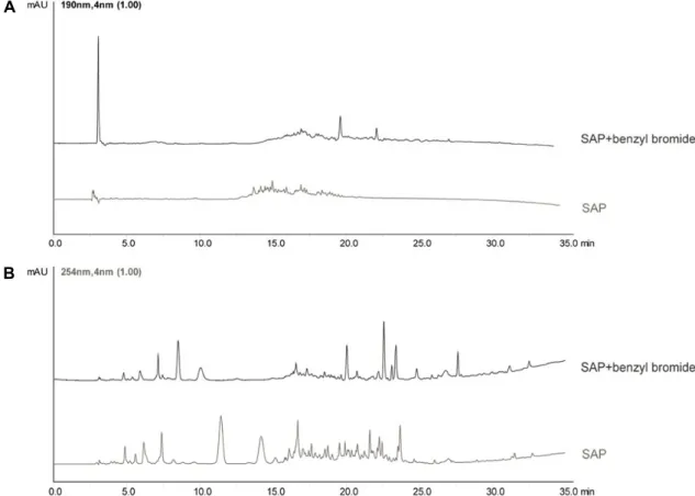 Fig.  1.  (A)  HPLC  profile  of  SAP  and  SAP  capped  benzyl  group  under  neutral  conditions  at  190  nm;  (B)  at  254  nm