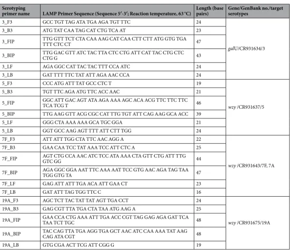 Table 1.  LAMP primer sequences in this study.  a point mutation related to serotype switching