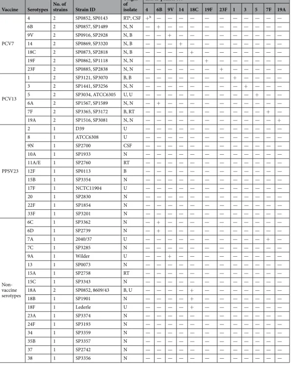 Table 2.  Reactivity and specificity of the pneumococcal serotyping LAMP assay.  a RT, respiratory tract 