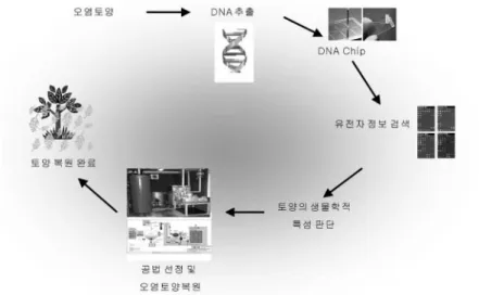 그림 1. 개발 경로.