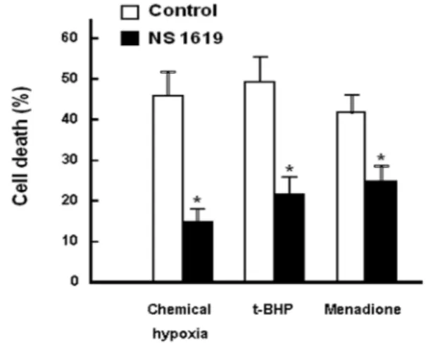 Fig.  1.  Effect  of  NS  1619  on  H 2 O 2 -induced  cell  injury.  RPE  cells  were  incubated  for  3  hr  at  37 o C  in  serum-free  media   con-taining  indicated  concentrations  of  H 2 O 2   with  or  without  NS  1619  (10  μM)