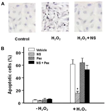Fig.  3.  Effects  of  different  K +   channel  openers  and  blockers  on  RPE  cell  death  caused  by  H 2 O 2 