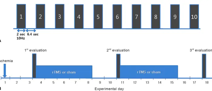 Figure 1. Stimulation method of rTMS for a session (A) and experimental schedule (B). Ten 2 s trains at a rate of 10 Hz  with 6.4 s inter-train interval per a day (A)