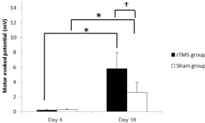 Figure 6. The peak amplitude of motor evoked potential in  rTMS group was larger amplitude at day 18 than sham  group