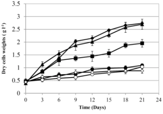 Fig.  2.  Cell  growth  evaluation  of  UV-B  induced  mutants.  The  experiments  were  carried  out  at  250  ml  conical  flasks  containing  100  ml  f/2  media  with  a  light  intensity  of  74  μmol  m -2   s -1   in  12:12  circadian  cycles  at  2