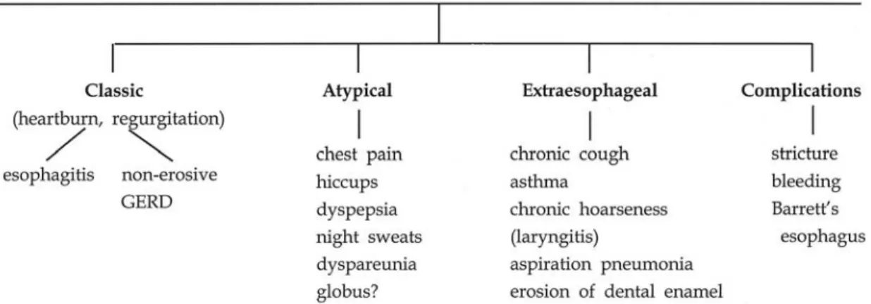 Figure 3. Esophageal acid-induced bronchoconstriction, showing the role of the vagus nerve, heightened bronchial reactivity and microaspiration resulting in airway inflammation.