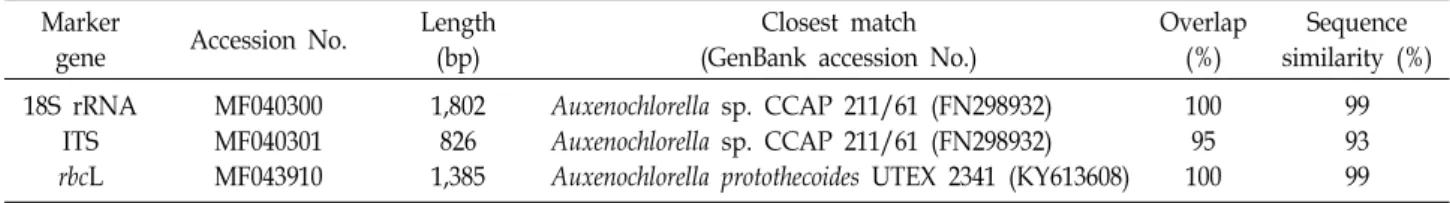 Table  2.  Results  from  BLAST  searches  using  the  sequences  of  the  18S  rRNA,  ITS,  and  rbcL  genes  of  strain  MM0011 Marker 