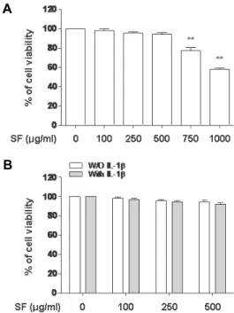 Fig.  3.  Effect  of  SF  on  the  mRNA  expression  and  secretion  of  MMP-1,  -3,  and  -13  in  IL-1β-stimulated  primary  cultured  rat  cartilage  chondrocytes