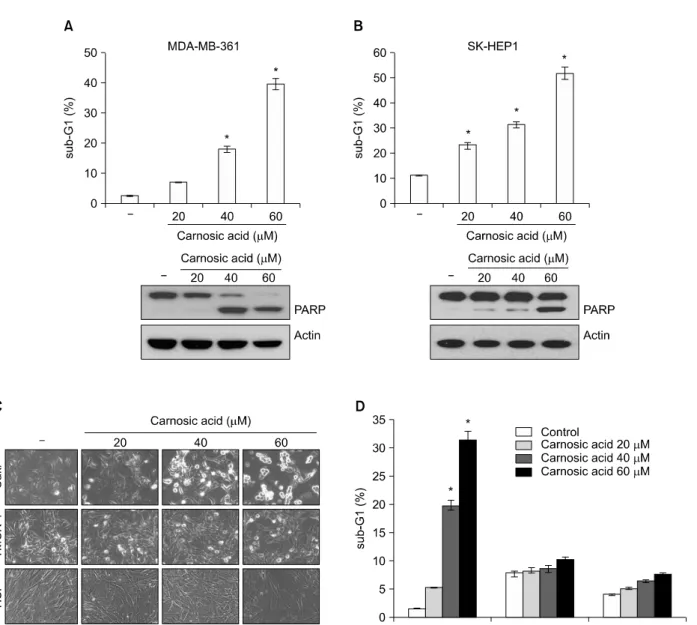 Figure 4.  Effect of carnosic acid on apoptosis in other cancer cell lines and normal cells