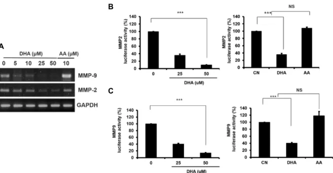 Fig.  3.  DHA  reduces  in  vitro  cell  invasion  by  modulating  MMP-2  and  MMP-9  expression