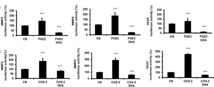 Fig.  5.  Effect  of  DHA  on  COX-2/PGE2-induced  MMP-2,  MMP-9  and  VEGF  promoter  activity  in  HT29  cells