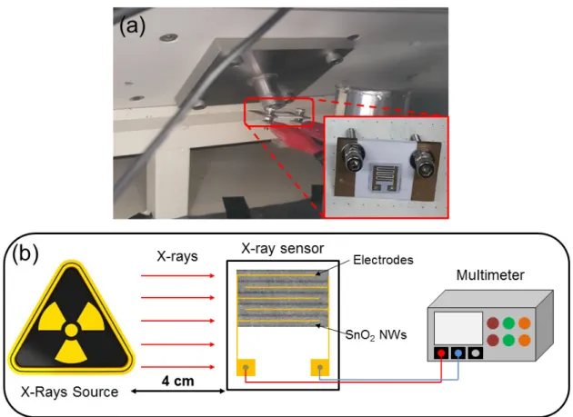 Figure 1. (a) Digital photograph of the set up for sensing. (Inset: X-ray sensor). (b) Schematic showing  the set up for X-ray sensing