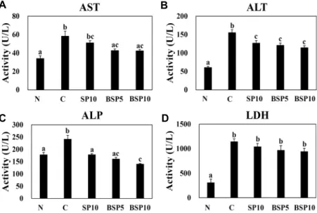 Fig.  2.  Effects  of  SP  and  BSP  on  the  activities  of  AST  (A),  ALT  (B),  ALP  (C)  and  LDH  (D)  in  orotic  acid-induced  fatty  liver  model  rats