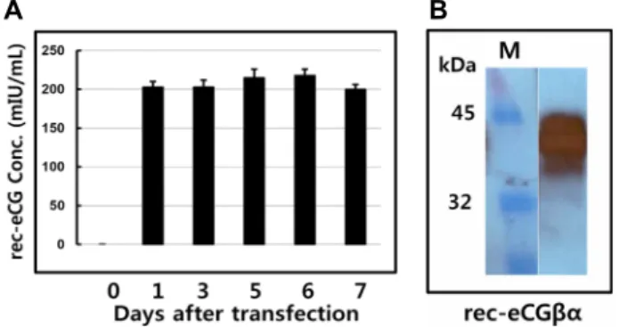 Fig.  1.  Quantification  of  rec-eCGβ/α for  transient  transfection  in  CHO  suspension  cells