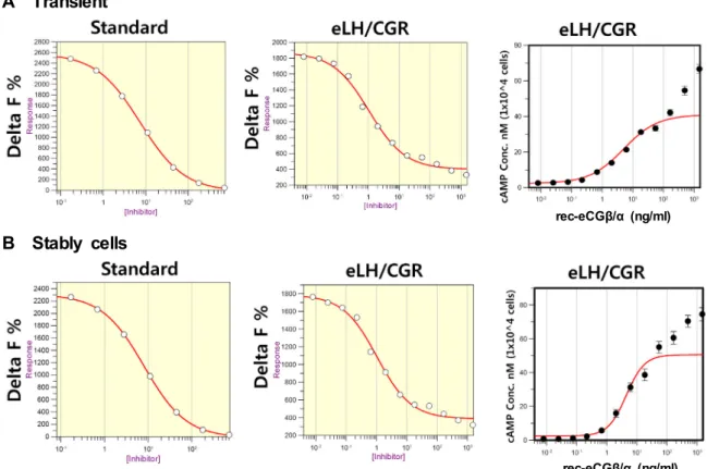 Fig.  4.  Dose  dependent  inhibition  and  increase  in  cAMP  accumulation  induced  by  a  rec-eCGβ/α in  transient  and  stably  cells  expressing  eLH/CGR