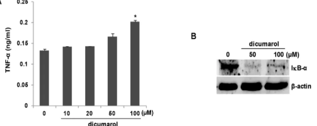 Fig.  2.  Inhibition  of  NQO1  by  dicumarol  activates  peritoneal  macrophages.  (A)  Peritoneal  macrophages  (10 6 )  were  isolated  from  NQO1  WT  mice  and  treated  with  the  indicated  concentrations  of  dicumarol,  and  TNF-α levels  in  cult
