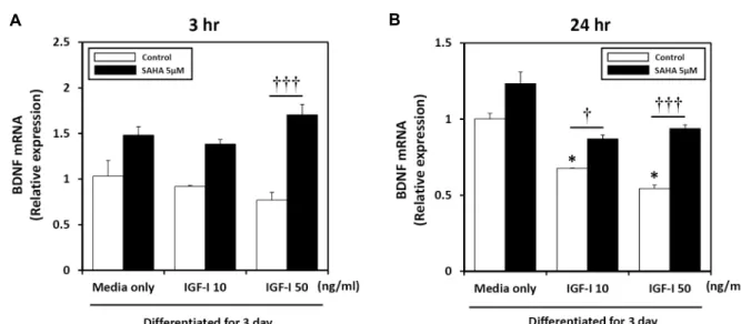 Fig  4.  Real-time  qPCR  was  performed  at  different  time  points  to  assess  endogenous  BDNF  mRNA  levels  by  the  administration  of  IGF-I  and  HDAC  inhibitor