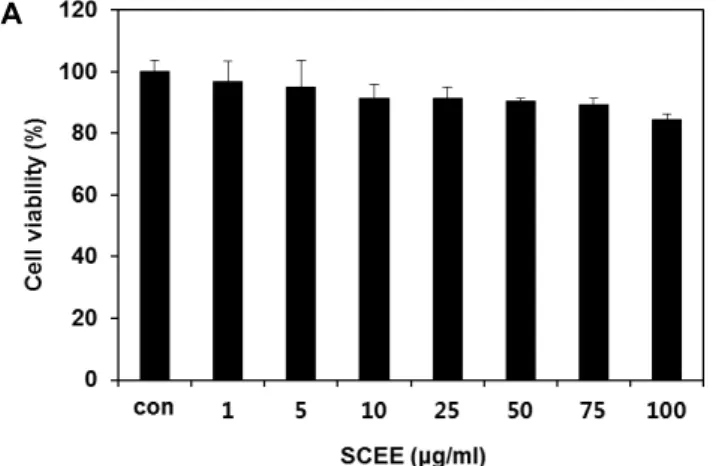 Fig.  2.  Effect  of  SCEE  on  3T3-L1  cell  proliferation  (A),  morphological  change  and  lipid  accumulation  (B),  and  TG  contents  (C)