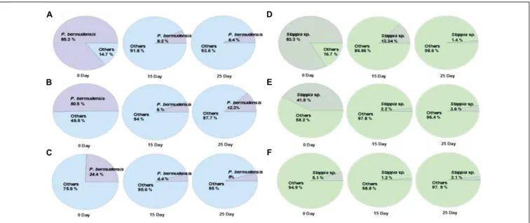 FIGURE 3 | Changes of the occupancy ratio of TGPB in xenic seawater (0.2 µm filtered) co-cultivated with T