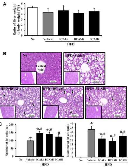Fig.  3.  Changes  in  the  fat  accumulation  in  the  liver  following  BCA  treatment  for  9  weeks