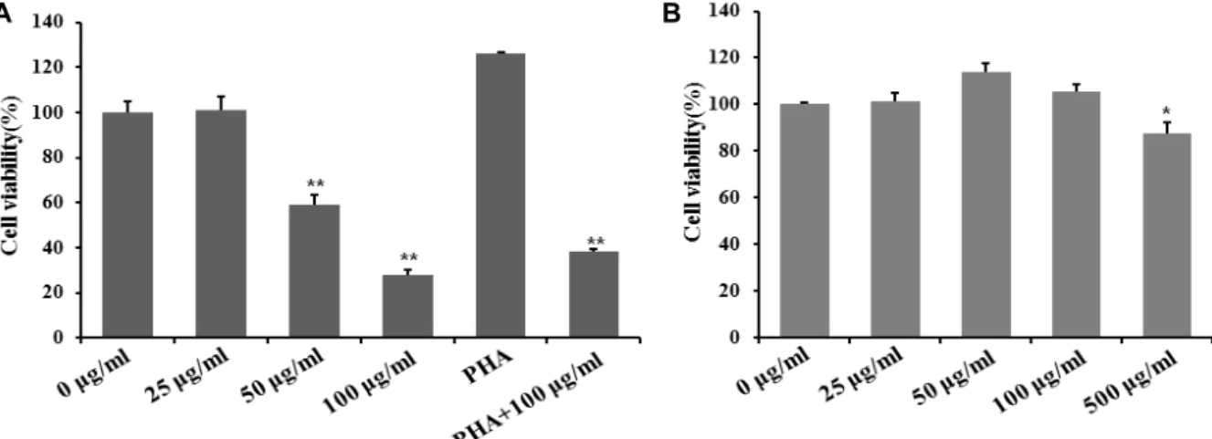 Fig.  1.  Effect  of  MTWE  on  cell  viability  in  Jurkat  T  cells  and  splenocytes