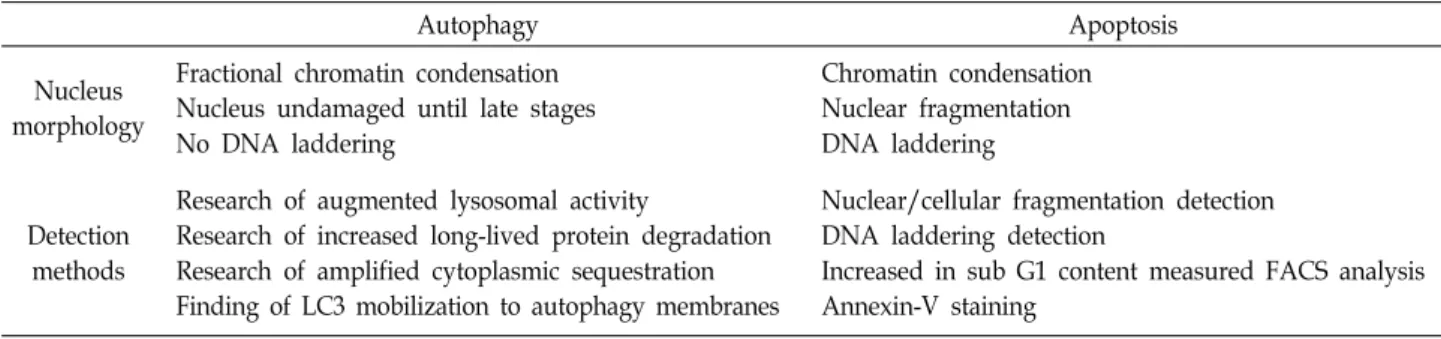 Table  1.  Comparison  of  autophagy  and  apoptosis  among  programmed  cell  death