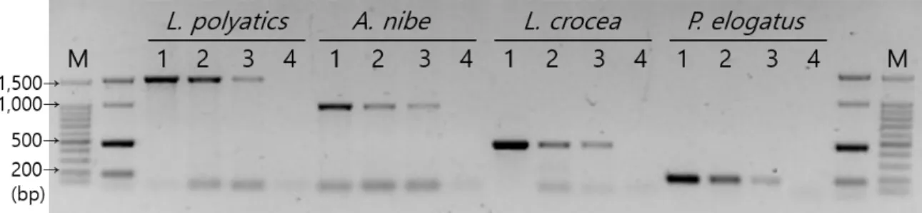 Fig.  4.  Detection  limits  of  the  species  specific  PCR  method  by  using  genomic  DNA  of  four  species  with  a  10-fold  serial  diluted  form  10  ng/μl  to  0.01  ng/μl