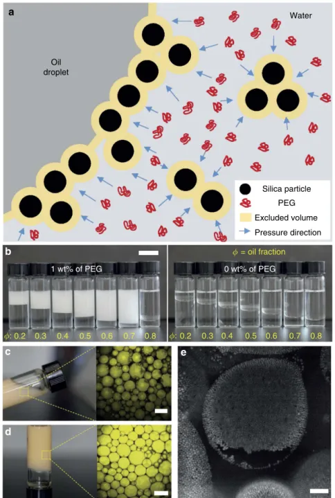 Figure 1 | Depletion attraction used for Pickering emulsions. (a) Schematic illustration of particle adsorption to the interface by depletion attraction