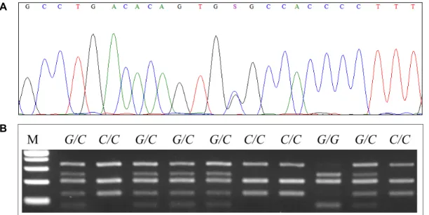 Fig.  1.  The  nucleotide  substitution  polymorphism  of  LYPLA1  rs385360448  g.23655332G>C