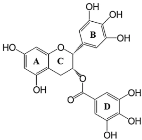 Fig. 1 – Structure of epigallocatechin-3-gallate.