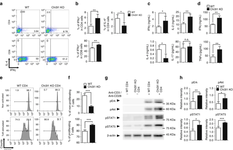 Fig. 3 ). However, IFNγ producing T cells from spleen and
