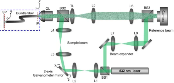 Figure 2.  Schematic layout of the experimental setup. Interference microscope with a 2-axis scanning mirror 