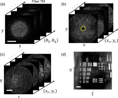 Figure 3.  Image acquisition using the single-core illumination and wide-field detection scheme