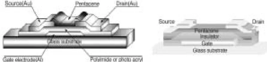 그림 1. Organic TFT Device Structure.