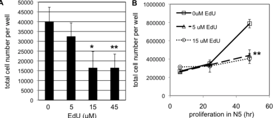 Fig.  3.  Cell  proliferation  was  inhibited  by  EdU  in  dose-  and  time-dependent  manners
