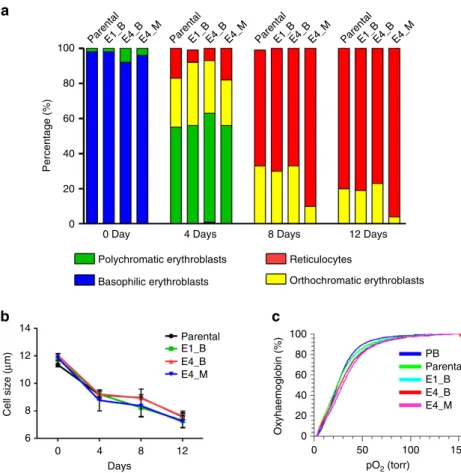 Figure 7 | The RHD mutation does not affect the differentiation and function of HiDEP-1