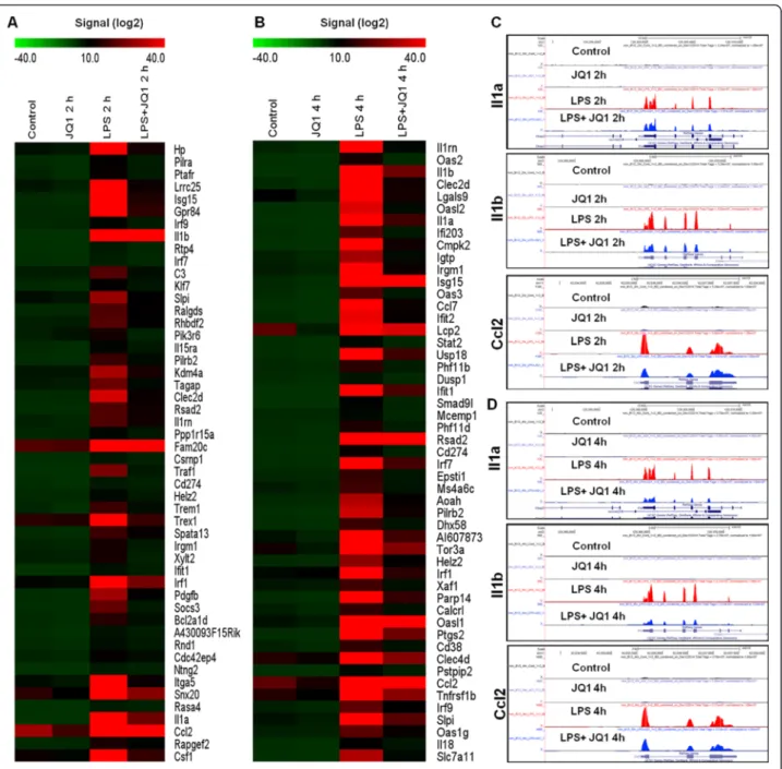 Figure 5 JQ1 suppresses a specific subset of LPS-inducible genes. (A) Heat map representation of the top 50 expression levels of genes that were downregulated (P ≤ 0.01 and fold change ≥1.5) by JQ1 at 2 h (left panel) and (B) 4 h (right panel) after LPS st
