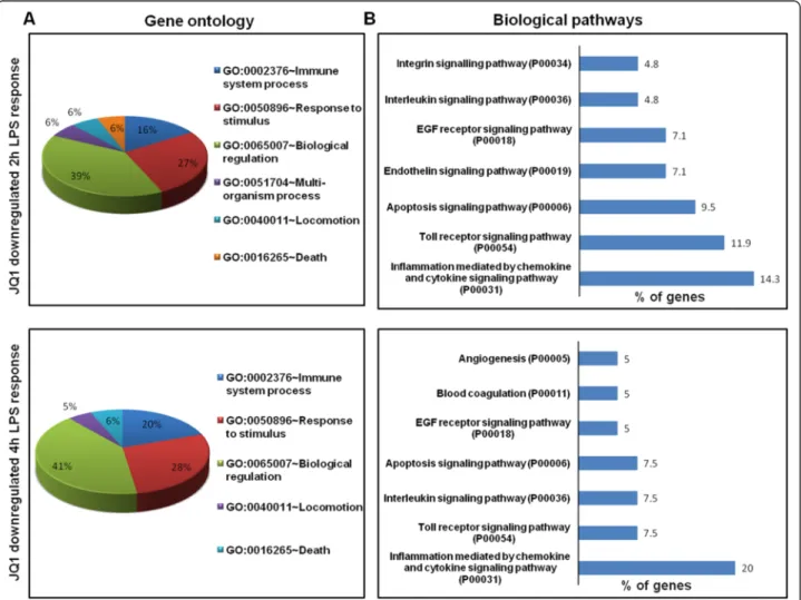 Figure 6 Functional annotation and biological pathways of the JQ1-downregulated genes