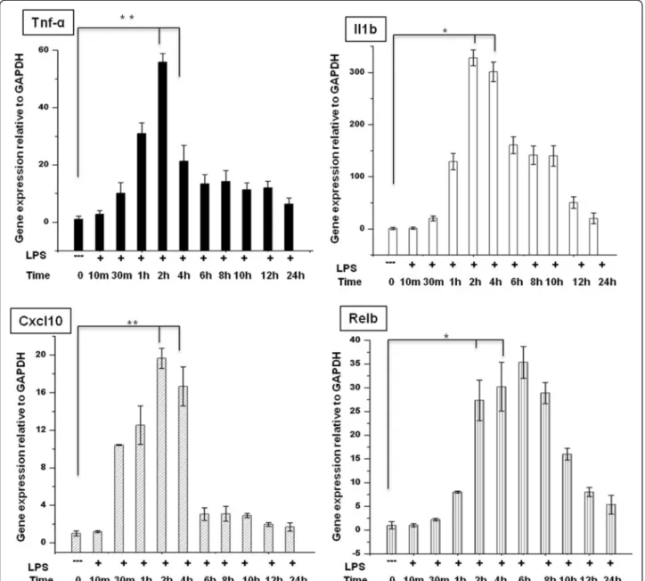 Figure 1 Induction of inflammatory response-related genes in LPS-stimulated BV-2 microglial cells